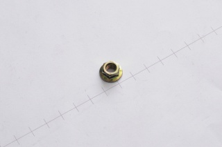 PIULITA  /CUTIT M6/ NH CX