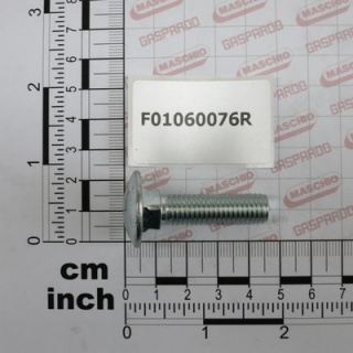 SURUB CAP TORBANT FT M10*40 U5732 8.8