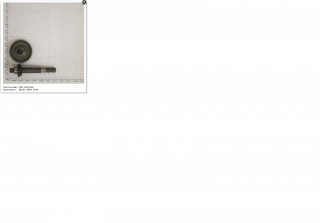 PINION CU AX + COAROANA