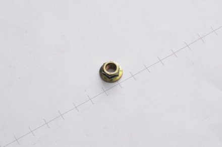 PIULITA  /CUTIT M6/ NH CX